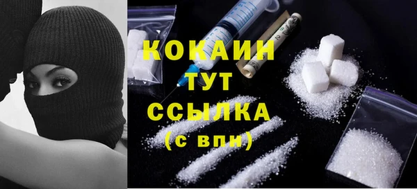 прущая мука Каменка