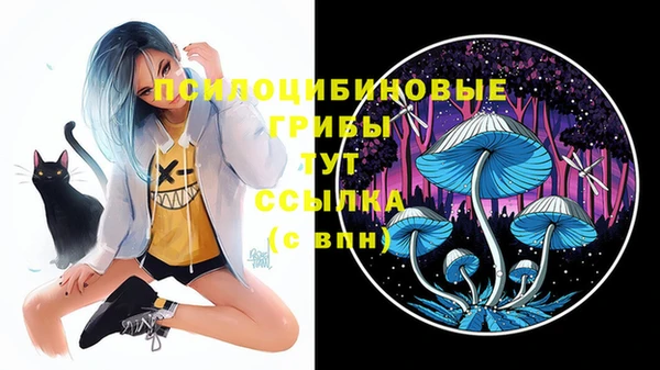метамфетамин Каменногорск