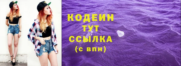 прущая мука Каменка