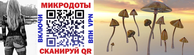 Галлюциногенные грибы MAGIC MUSHROOMS  Купить закладки  Макаров 